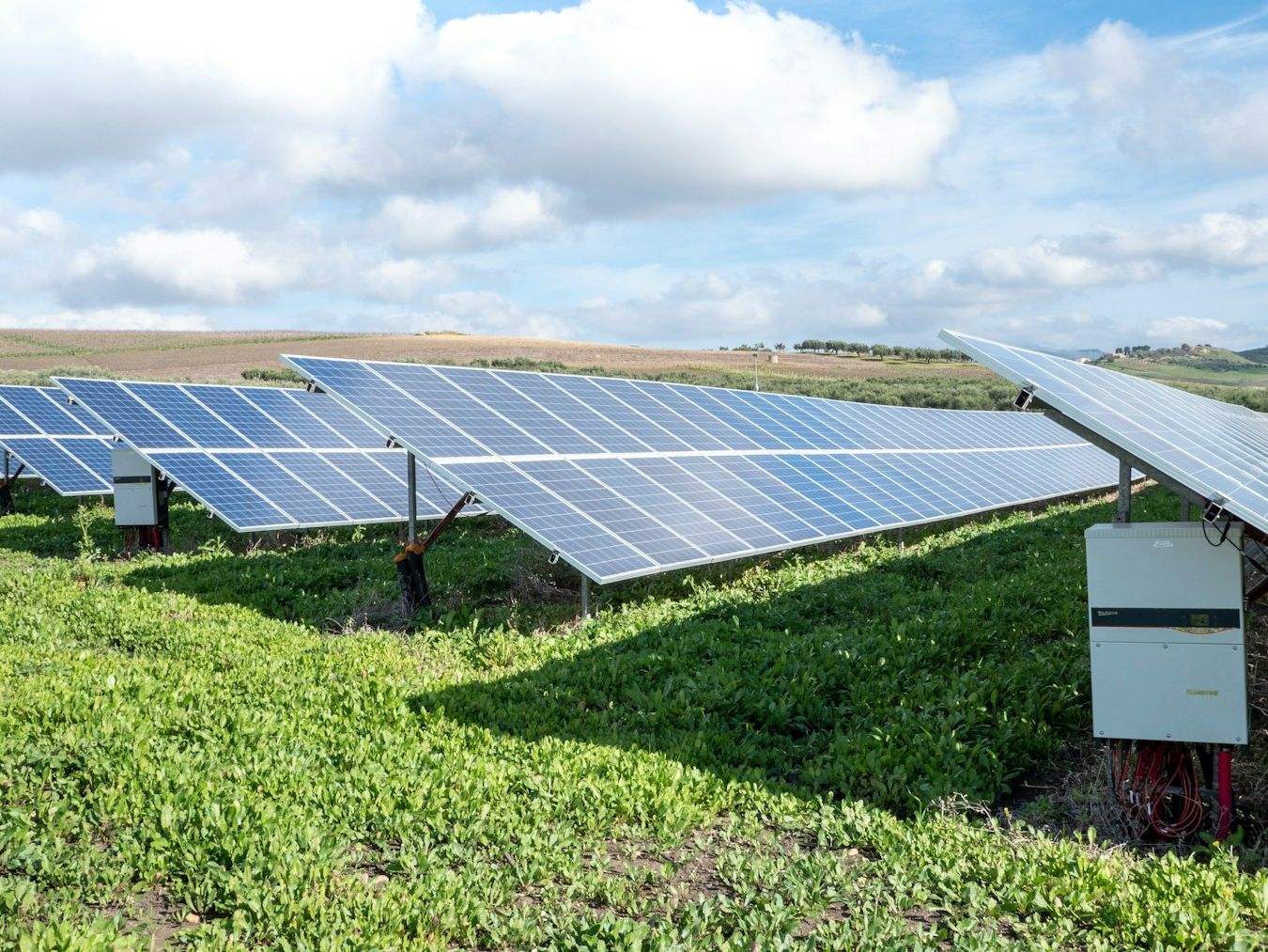 Ground-mounted solar array on farm pasture